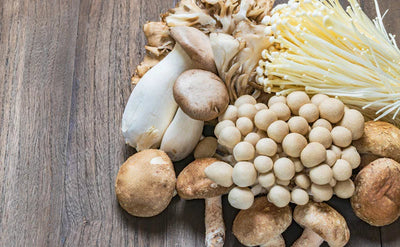 Why Chaga & Lion’s Mane Are the Secret Weapons in your Coffee